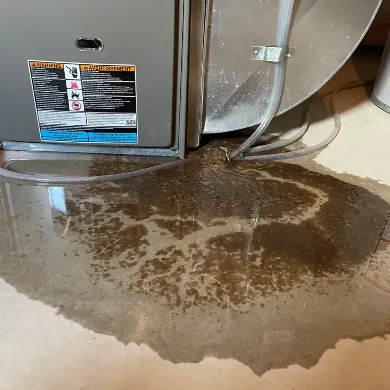 Appliance Leak Cleanup in Jamestown, NY